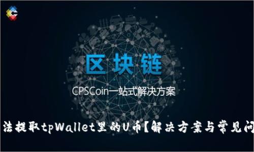 为何无法提取tpWallet里的U币？解决方案与常见问题解析