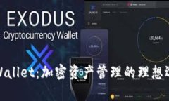 tpWallet：加密资产管理的理想选择