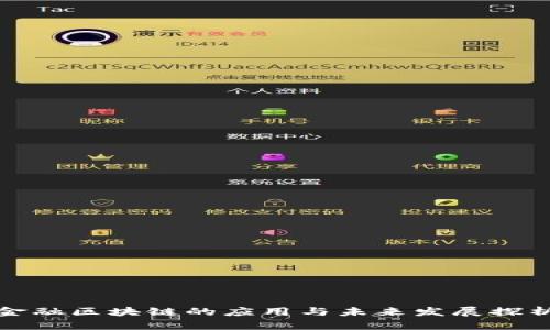 金融区块链的应用与未来发展探析