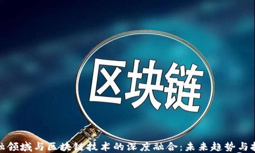 
金融领域与区块链技术的深度融合：未来趋势与挑战