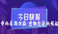 区块链游戏中的养狗体验：宠物经济的