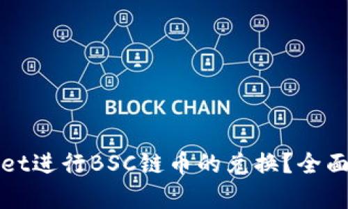 如何使用tpWallet进行BSC链币的兑换？全面指南与实用技巧