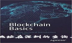 tpWallet地址在深圳的查询与使用指南