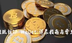 NFT如何提现到TP Wallet：详尽指南与常见