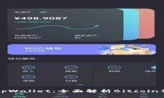 中本聪如何导入tpWallet：全面解析Bit