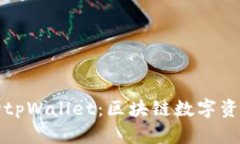 全面解析波场tpWallet：区块链数字资产