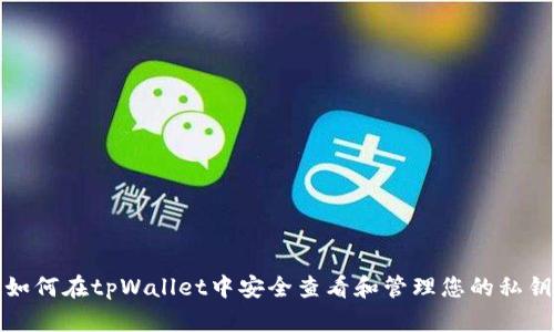 如何在tpWallet中安全查看和管理您的私钥