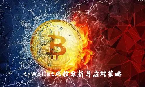 tpWallet风控分析与应对策略