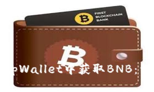如何在tpWallet中获取BNB：详细指南
